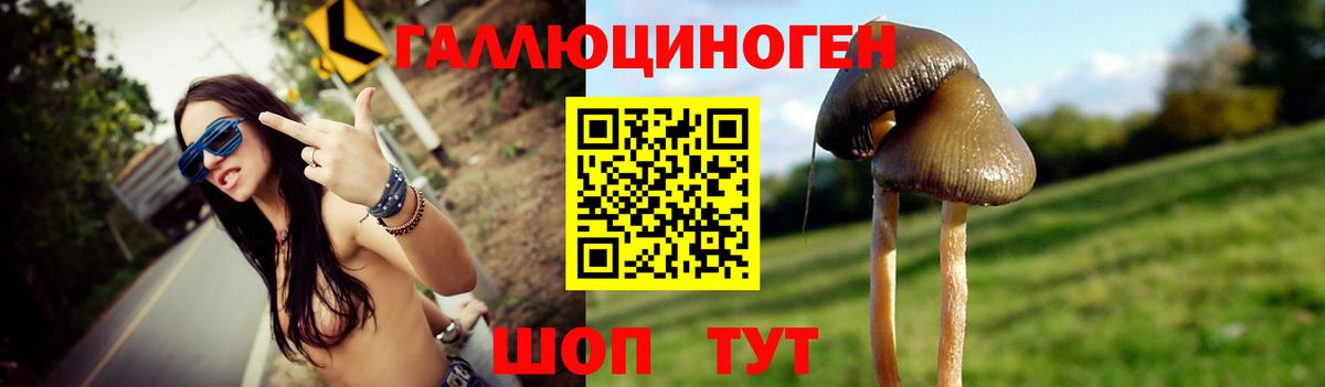 Псилоцибиновые грибы Psilocybe  Вход с VPN  Черняховск  Галлюциногенные грибы Psilocybine cubensis 